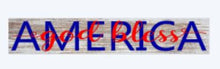 Patriotic pick your project 6/29/19 at 12:00pm